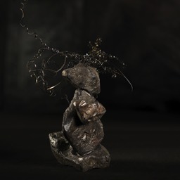 Un héron m'a dit...